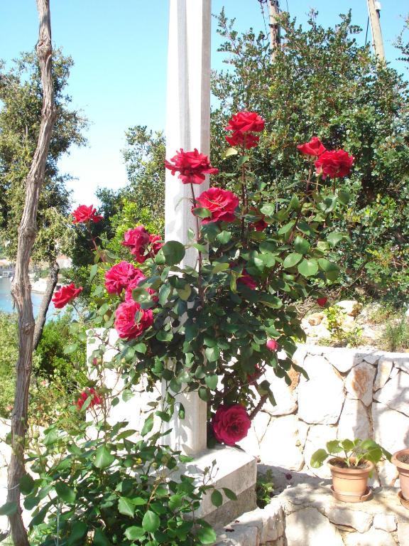 Tri Sestre Rooms Dubrovnik Eksteriør bilde